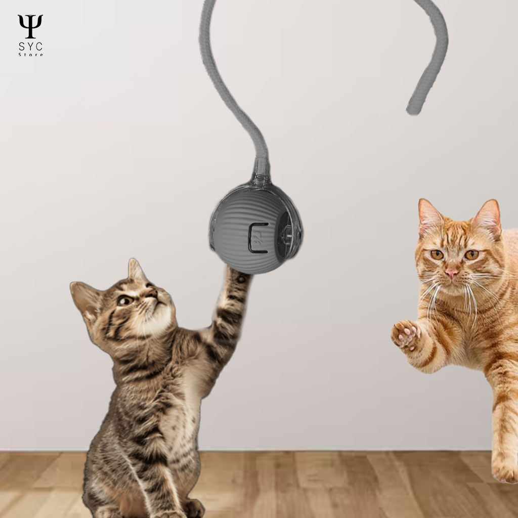 HappyTail™ Motion Ball – The Smart Play Buddy