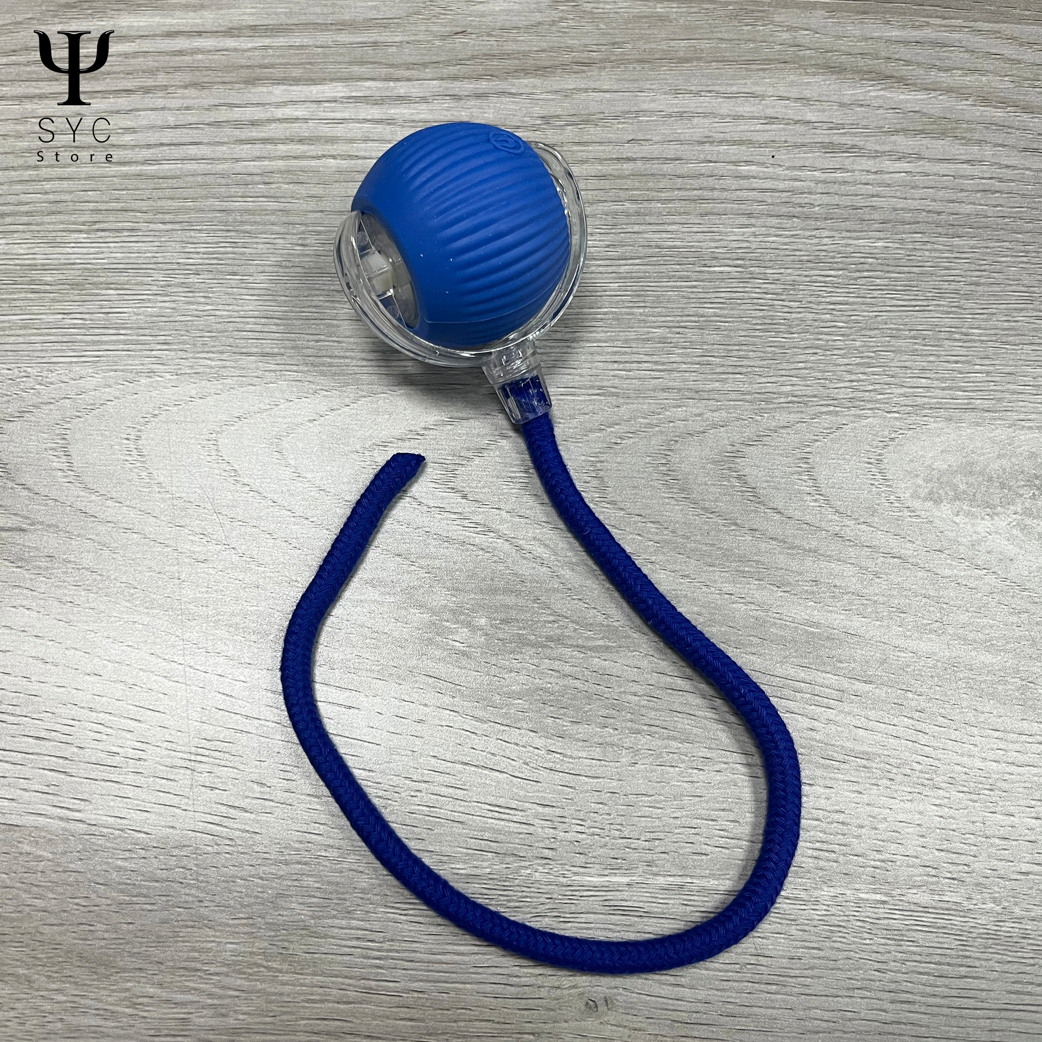 HappyTail™ Motion Ball – The Smart Play Buddy