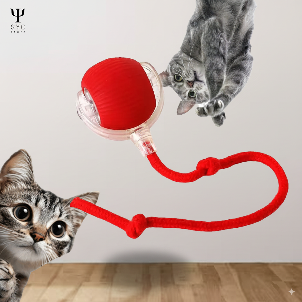 HappyTail™ Motion Ball – The Smart Play Buddy