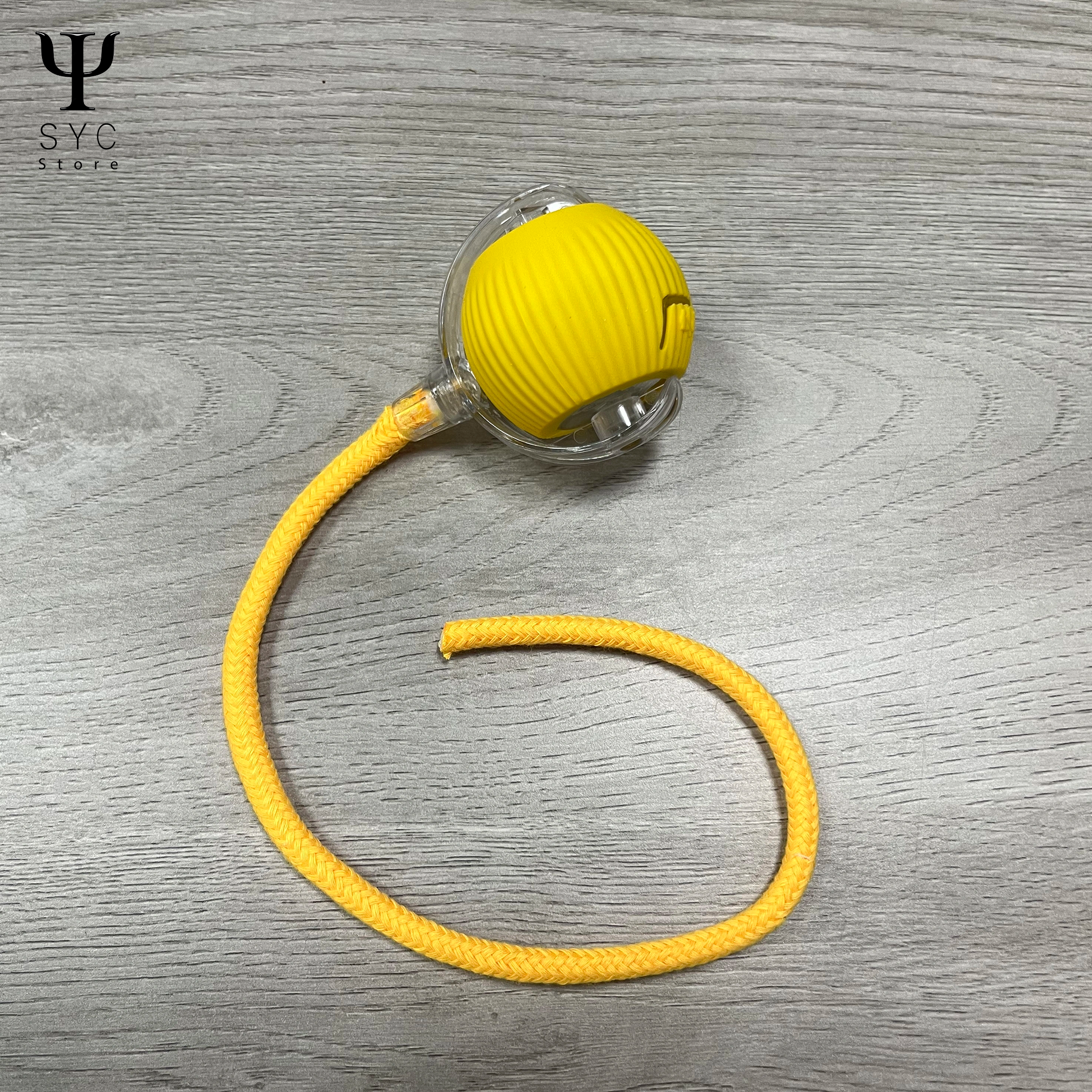 HappyTail™ Motion Ball – The Smart Play Buddy